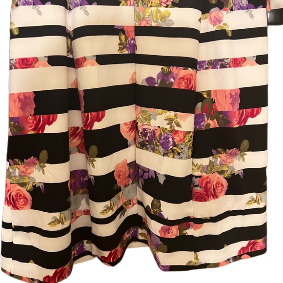 INC Floral Garden Mist Striped A-line (Macys) Dress Sz XL New With Tags - Picture 6 of 10